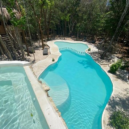 Aldea Maya-Ha Cabanas Con Cenotes Puerto Morelos Exteriör bild
