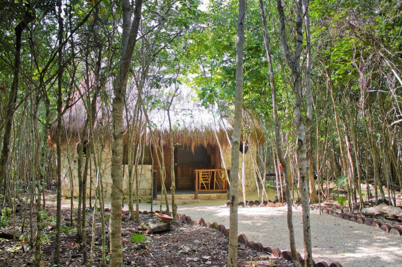 Aldea Maya-Ha Cabanas Con Cenotes Puerto Morelos Exteriör bild