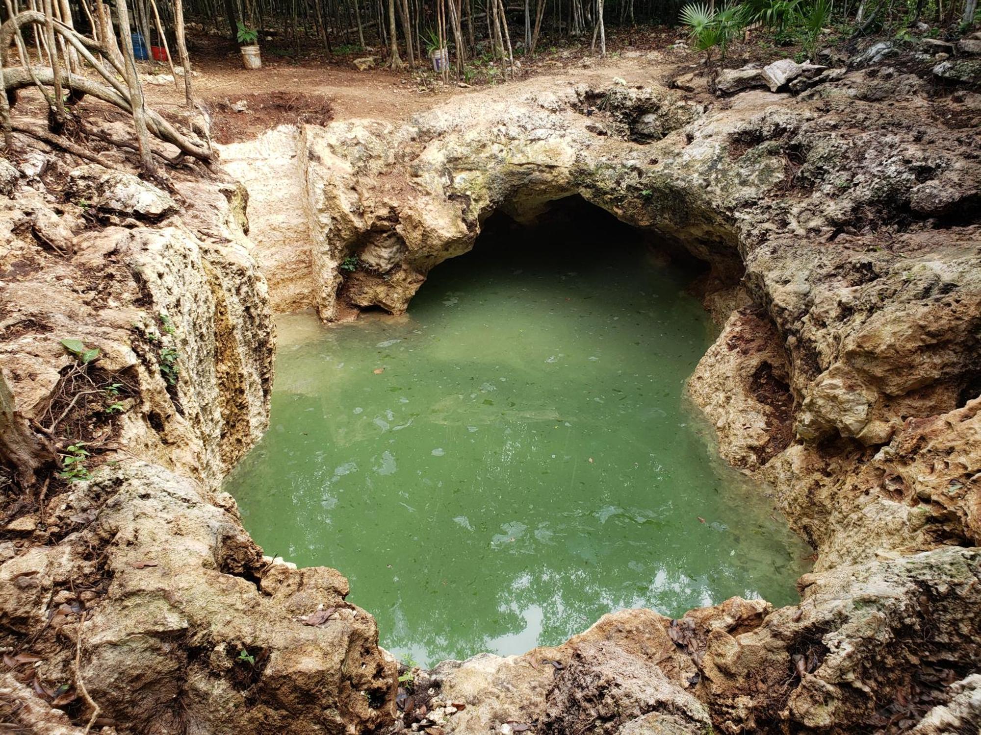 Aldea Maya-Ha Cabanas Con Cenotes Puerto Morelos Exteriör bild