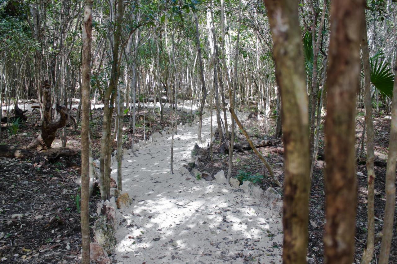 Aldea Maya-Ha Cabanas Con Cenotes Puerto Morelos Exteriör bild
